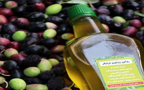 خرید و فروش روغن زیتون فرابکر با شرایط فوق العاده