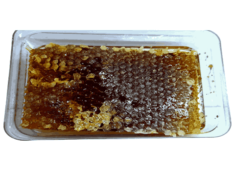 قیمت خرید عسل طبیعی با موم + فروش ویژه