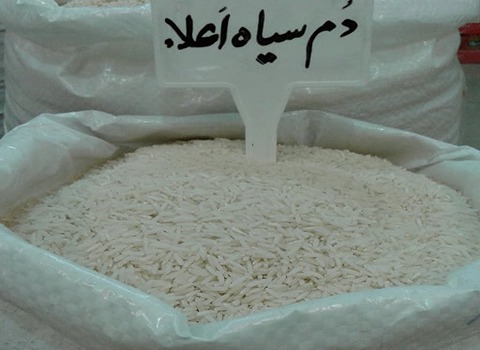 خرید برنج دمسیاه سیفی + قیمت فروش استثنایی