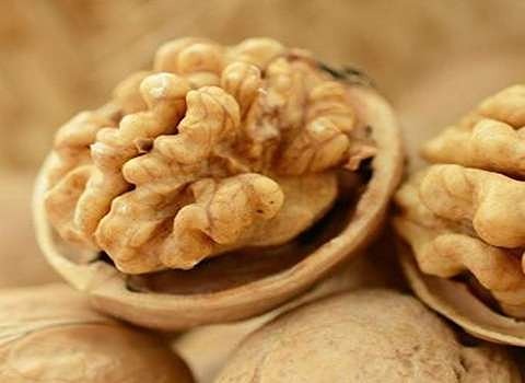 خرید و قیمت مغز گردو بلغاری + فروش عمده