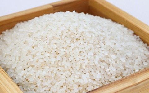 قیمت برنج مجلسی شمال با کیفیت ارزان + خرید عمده