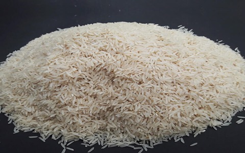 فروش برنج هاشمی دانه بلند الموت + قیمت خرید به صرفه