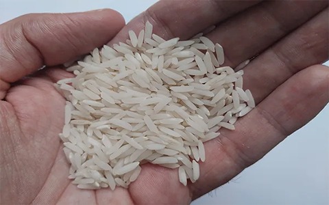 خرید برنج اعلا هاشمی + قیمت فروش استثنایی