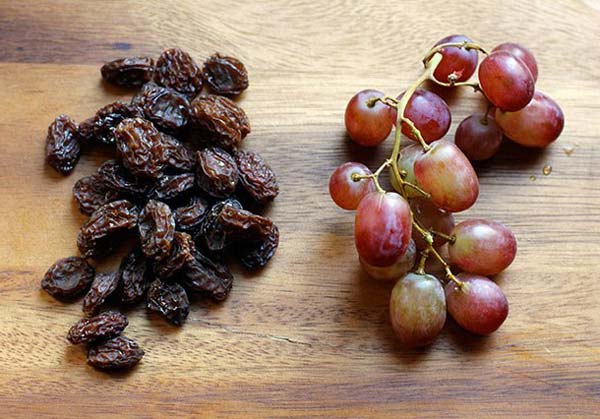 خرید و فروش کشمش انگور یاقوتی با شرایط فوق العاده
