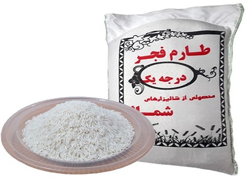 خرید و قیمت برنج طارم فجر فوق اعلا + فروش عمده