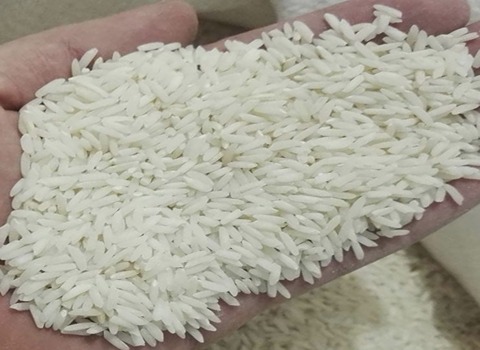 https://shp.aradbranding.com/فروش برنج طارم مخصوص + قیمت خرید به صرفه
