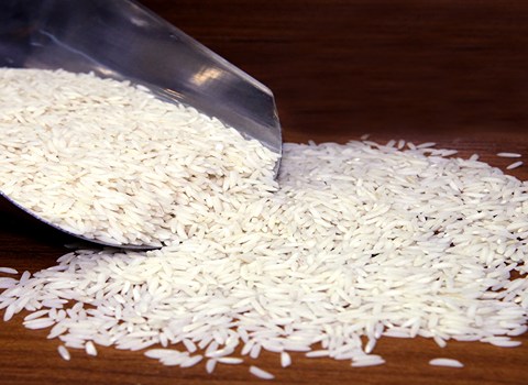 قیمت برنج هاشمی شمال + خرید باور نکردنی