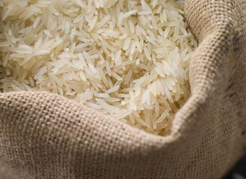 قیمت برنج فجر گرگان با کیفیت ارزان + خرید عمده