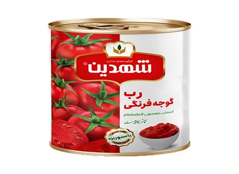 خرید رب گوجه فرنگی شهدین + قیمت فروش استثنایی