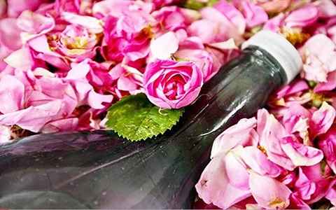 خرید و فروش گلاب قمصر کاشان اصل با شرایط فوق العاده