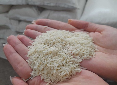 خرید و فروش برنج عنبر بوی جنوب با شرایط فوق العاده