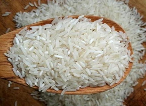 خرید و قیمت برنج فجر مزرعه نمونه + فروش عمده
