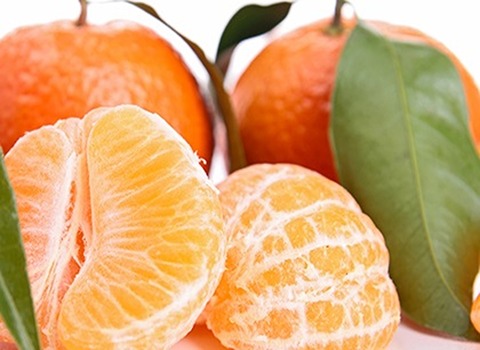 خرید و قیمت میوه نارنگی بندری + فروش صادراتی