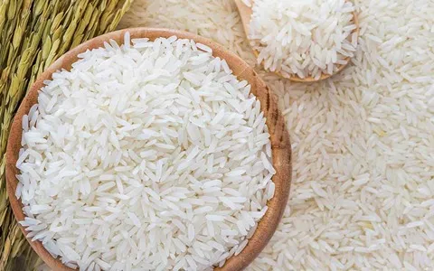 خرید برنج دم سیاه شمشیری + قیمت فروش استثنایی