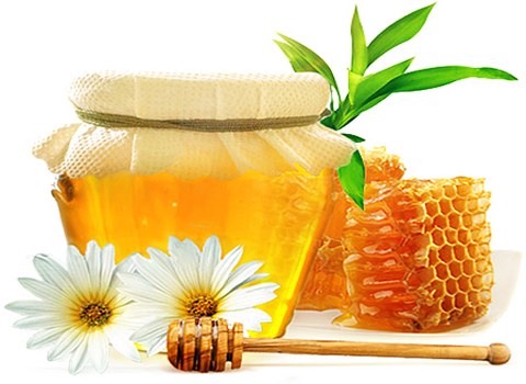 فروش عسل چند گیاه کوهی + قیمت خرید به صرفه