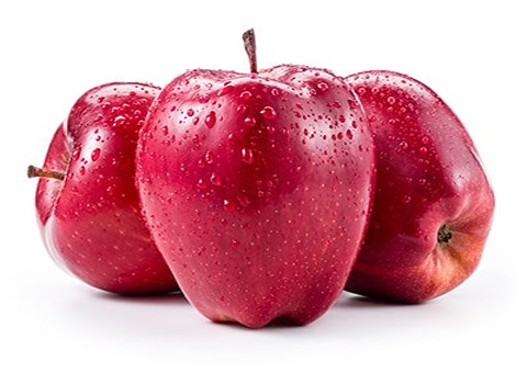 قیمت خرید سیب لبنانی قرمز با فروش عمده