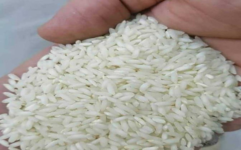خرید و قیمت برنج درجه یک ایرانی + فروش عمده