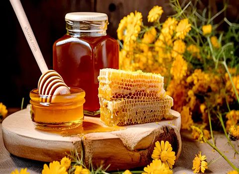 قیمت خرید عسل جنگلی عمده به صرفه و ارزان