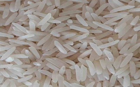 قیمت خرید برنج شیرودی شالیکوبی با فروش عمده