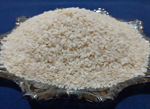 خرید و فروش برنج چمپا شوشتر با شرایط فوق العاده