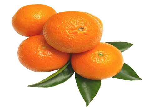 خرید و قیمت میوه پرتقال شمال + فروش صادراتی