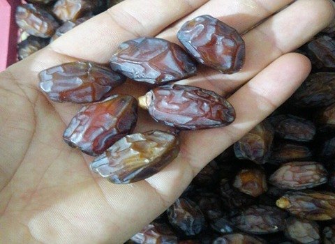 خرید و قیمت خرما خاصویی ریز + فروش صادراتی