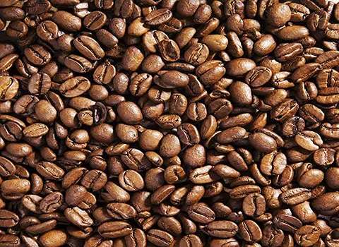 خرید و فروش قهوه یزدی با شرایط فوق العاده