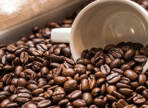 قیمت خرید قهوه رست مدیوم عمده به صرفه و ارزان
