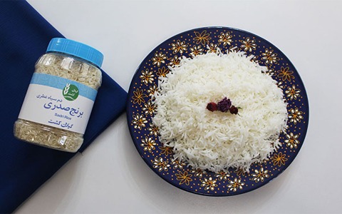 خرید و فروش برنج دم سیاه صدری گیلان با شرایط فوق العاده