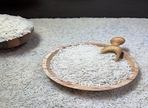 خرید و قیمت برنج فجر معطر گیلان + فروش عمده