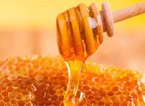 خرید و قیمت عسل طبیعی بشاگرد + فروش عمده