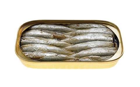 خرید تن ماهی ماهی کوچک + قیمت فروش استثنایی