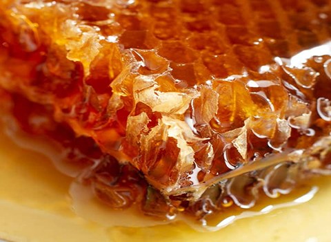 قیمت خرید عسل ۹۰۰ گرمی سانتین + فروش ویژه
