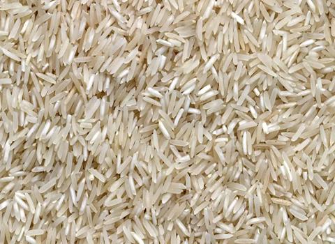 قیمت خرید برنج ۱۰ کیلویی هندی + فروش ویژه