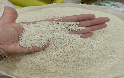 خرید و قیمت برنج اصل هاشمی + فروش عمده
