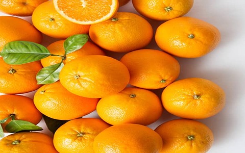 خرید و قیمت پرتقال محلی شمال + فروش عمده
