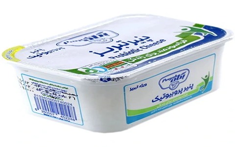 خرید پنیر تبریزی پگاه + قیمت فروش استثنایی