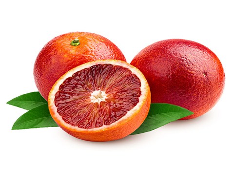 قیمت میوه ی پرتقال خونی با کیفیت ارزان + خرید عمده