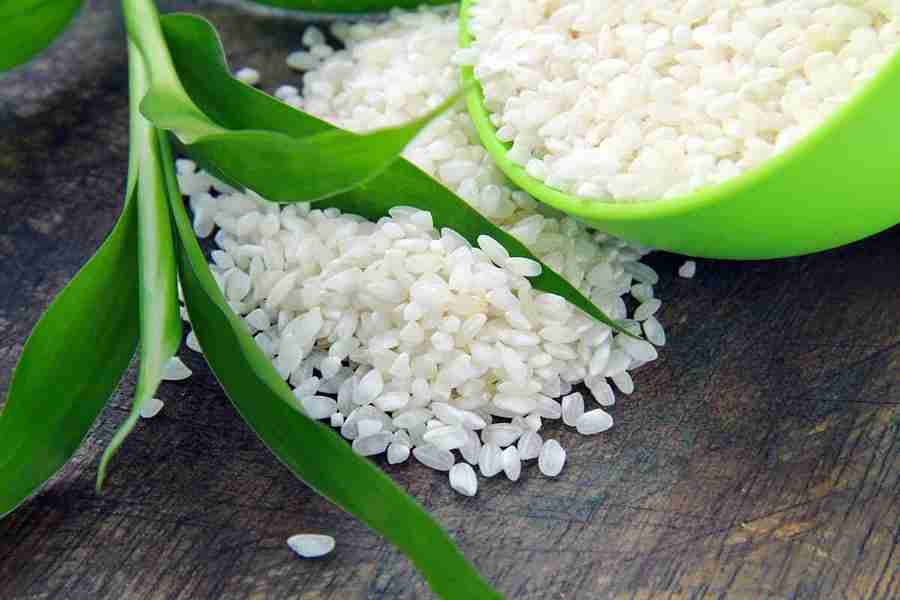 قیمت برنج شمال سبز با کیفیت و ارزان + خرید عمده