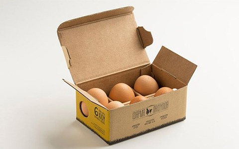 خرید جعبه بسته بندی تخم مرغ + قیمت فروش استثنایی