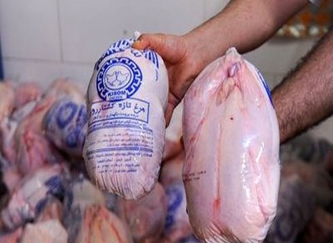 فروش مرغ منجمد شده + قیمت خرید به صرفه