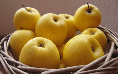 فروش سیب زرد مراغه + قیمت خرید به صرفه