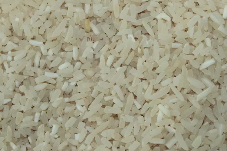 خرید برنج لاشه ایرانی + قیمت فروش استثنایی