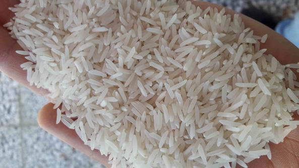 قیمت برنج سرلاشه طارم عطری + خرید باور نکردنی