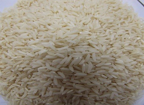 خرید و قیمت برنج فجر اعلا + فروش صادراتی