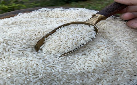 قیمت خرید برنج مرغوب طارم عمده به صرفه و ارزان
