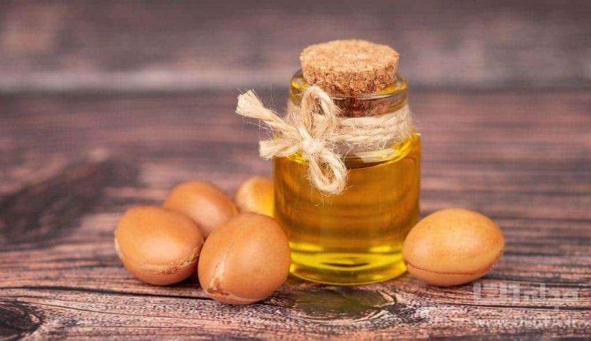 قیمت خرید روغن ارگانیک مو + فروش ویژه