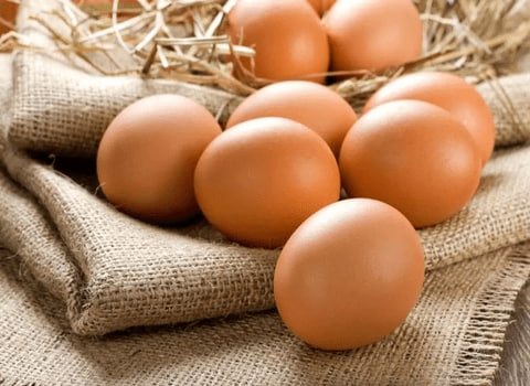 خرید و فروش تخم مرغ عمده کرج با شرایط فوق العاده
