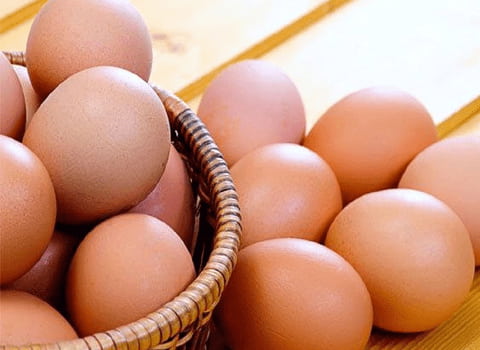 خرید تخم مرغ عمده اراک + قیمت فروش استثنایی