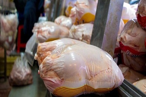 قیمت مرغ منجمد برزیلی در شیراز با کیفیت ارزان + خرید عمده